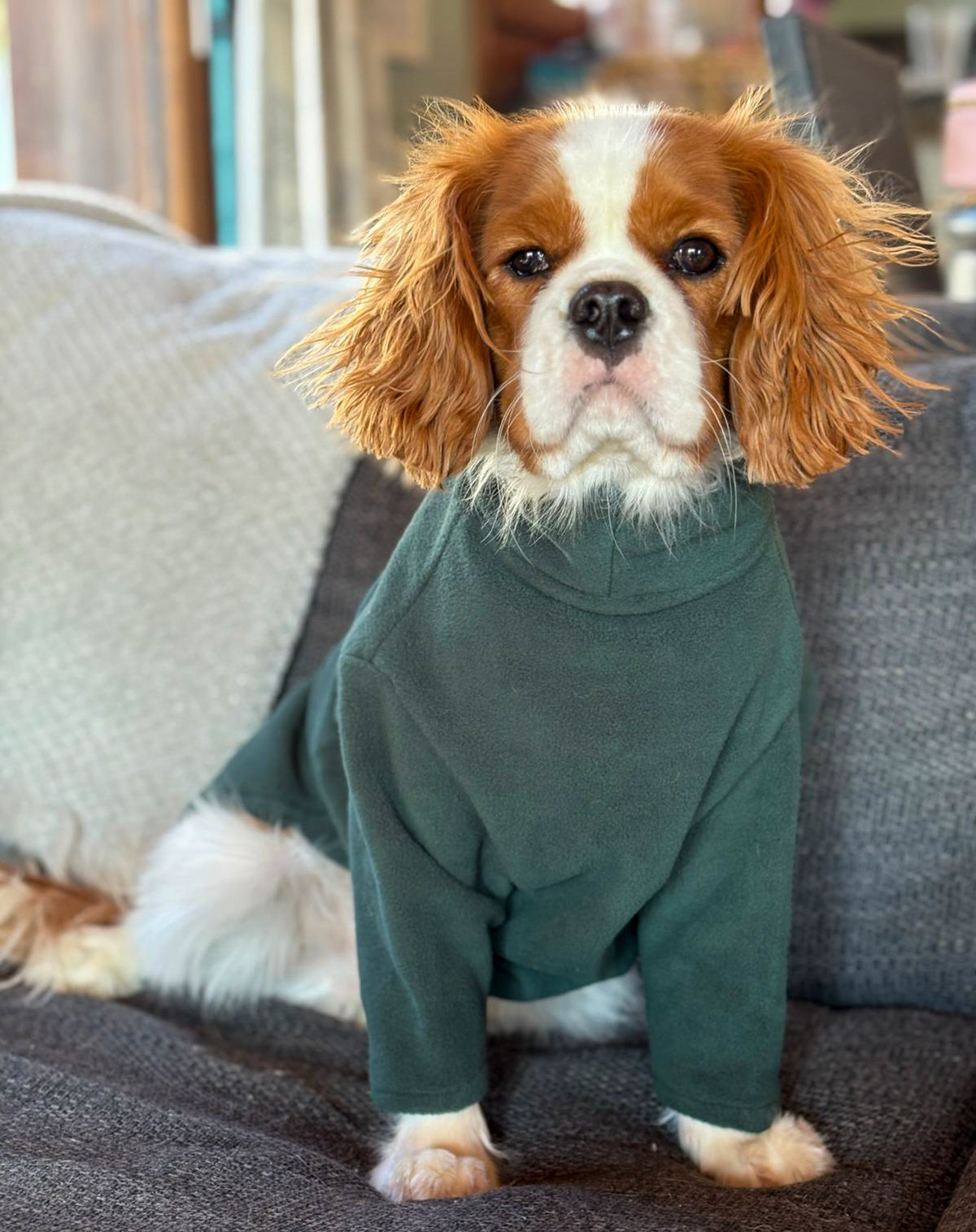 Dog Jumper by HOTTERdog