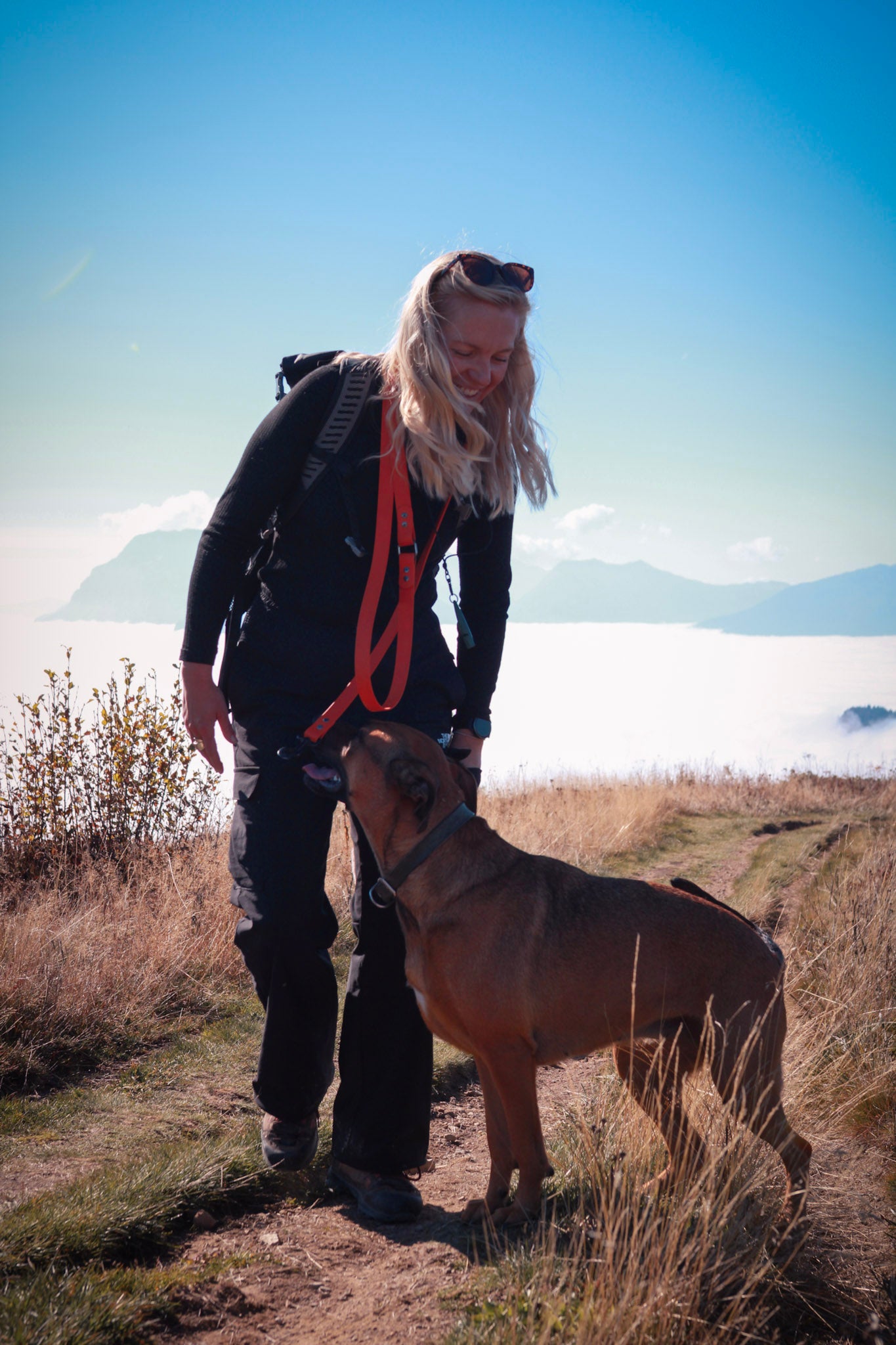 K9 Escapade - A 3-4 hour outing.