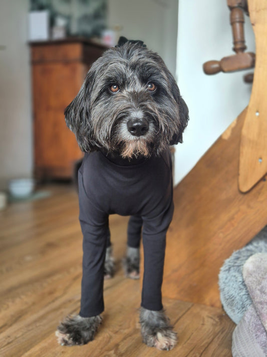 Dog Suit by Equafleece