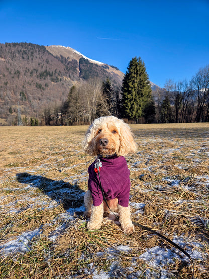 Dog Jumper by HOTTERdog